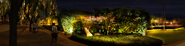 思迪恩公司在公园绿地上植物亮化照明规划控制导则-1